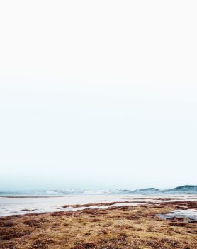 Wallpaper 4
