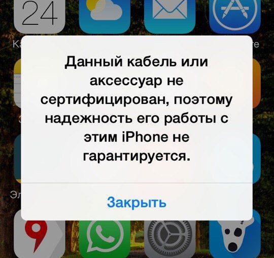 1456925556_266-1
