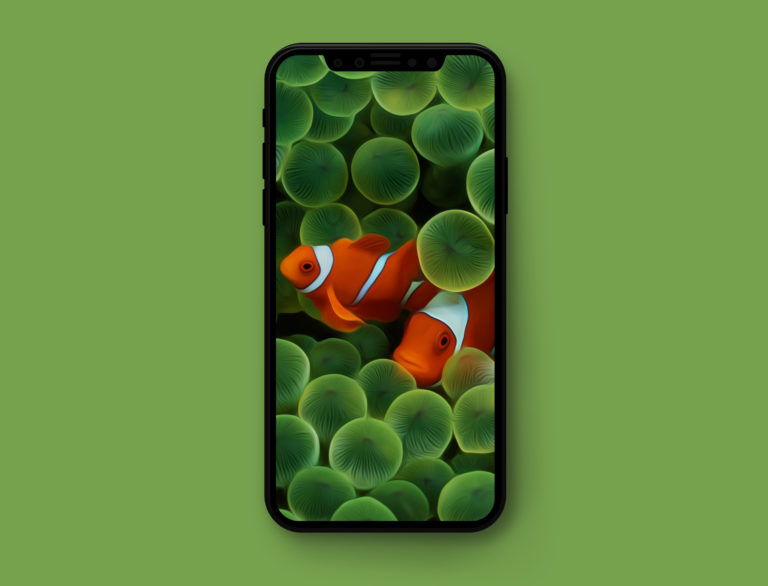iOS-original-wallpapers-splash-iOS-1-crop-768×586