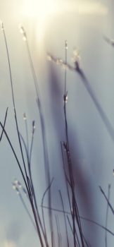 iOS-stock-38-for-iPhone-X-473×1024