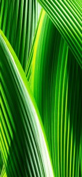 iOS-stock-40-for-iPhone-X-473×1024