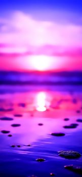 Amir-Khani-iPhone-X-11-473×1024