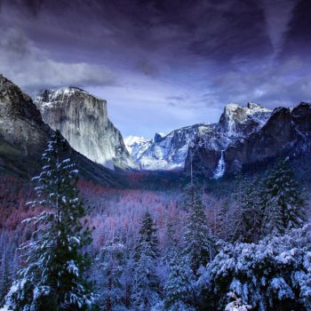 winter-mountain-snow-nature-ipad-pro-768×768