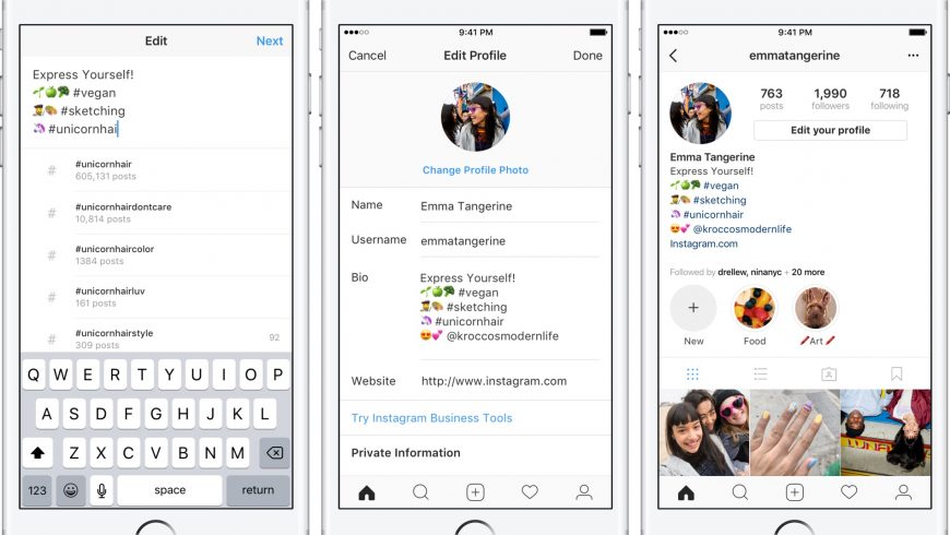 Instagram-bio-hashtags-profile-links