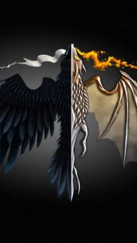 game-of-thrones-dragon-art-qu-1080×1920-576×1024