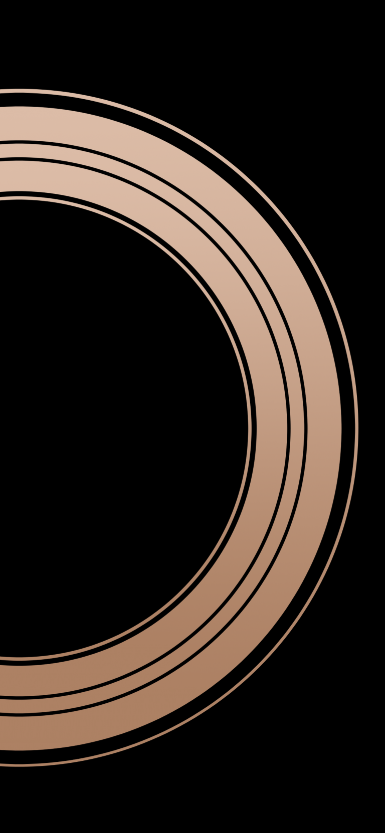 Black-Gold-Blank-for-iPhone-X-768×1663