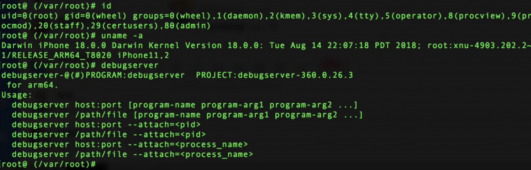 Pangu-Root-Access-iPhone-XS-768×247