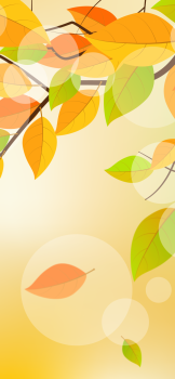 Autumn-for-iPhone-XS-Max-evgeniy-zemelko-768×1662