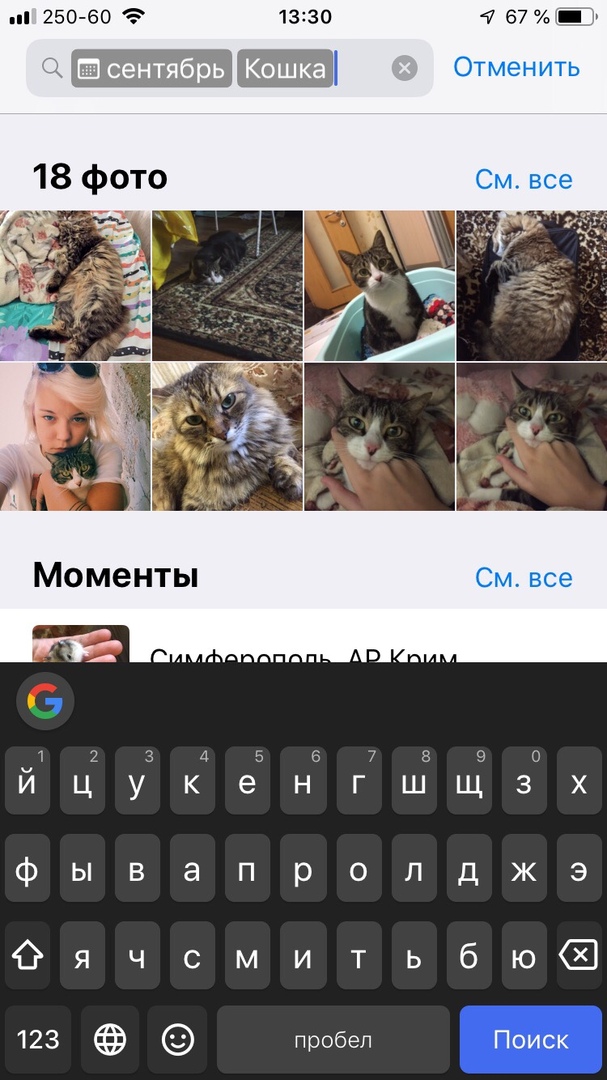 Z9x9IZaLOwA