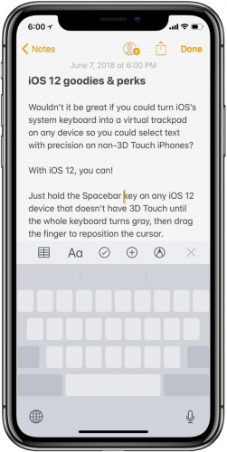 iOS-12-keyboard-trackpad-mode-on-non-3d-touch-iphone-251×500