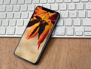 leaves-autumn-wallpaper-mockup-splash-1376×1032