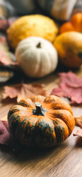 orange-pumpkin-iphone-xs-max-wallpaper-brigitte-tohm-768×1662