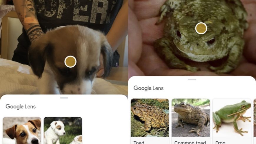 how-to-use-google-lens-5