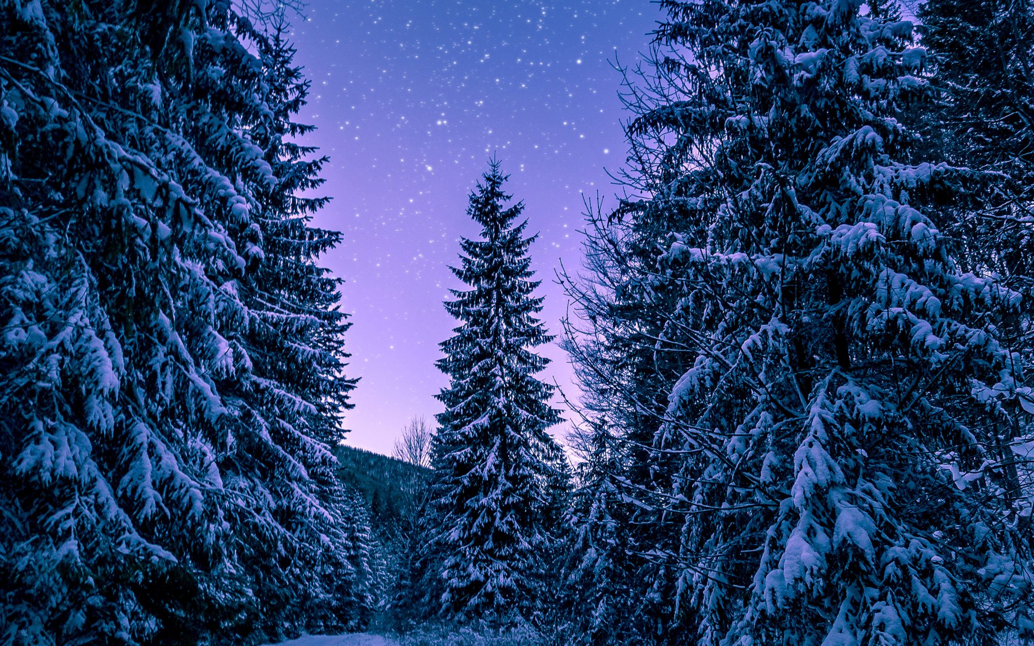 snow-winter-wood-tree-road-night-nature-imac-27.