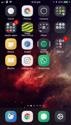 zenith-GIF
