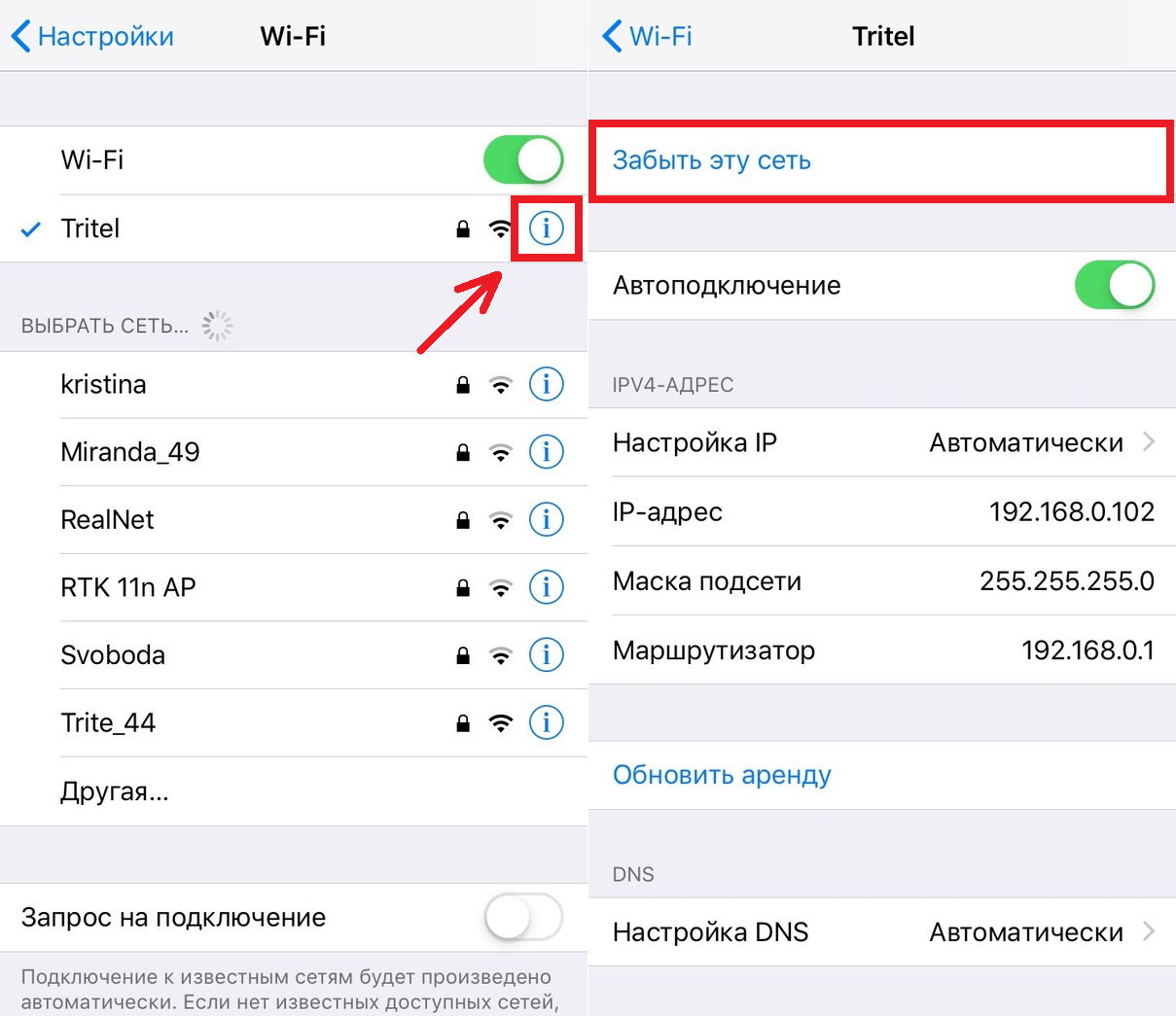 Айфон не будет работать интернет. Как настроить вай фай на айфоне. Как настроить Wi Fi на айфоне. Как подключить вай фай на айфоне. Айфон выбор сети вай фай.