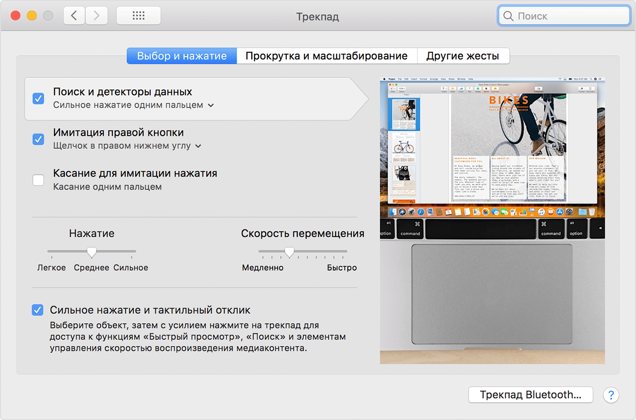 macos-high-sierra-system-preferences-trackpad