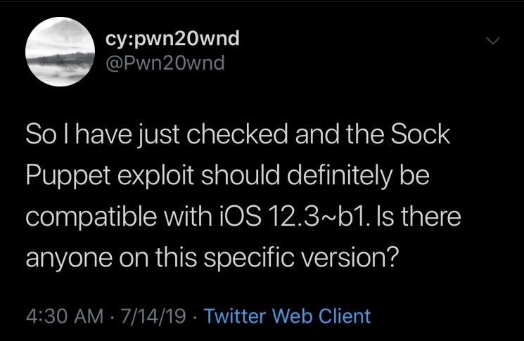pwn20wnd-unc0ver-iOS-12.3-beta-745×485