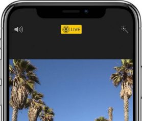 Live-Photos-teaser-001-588×500