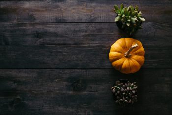 Thanksgiving-Desktop-wallpaper-patrick-fore