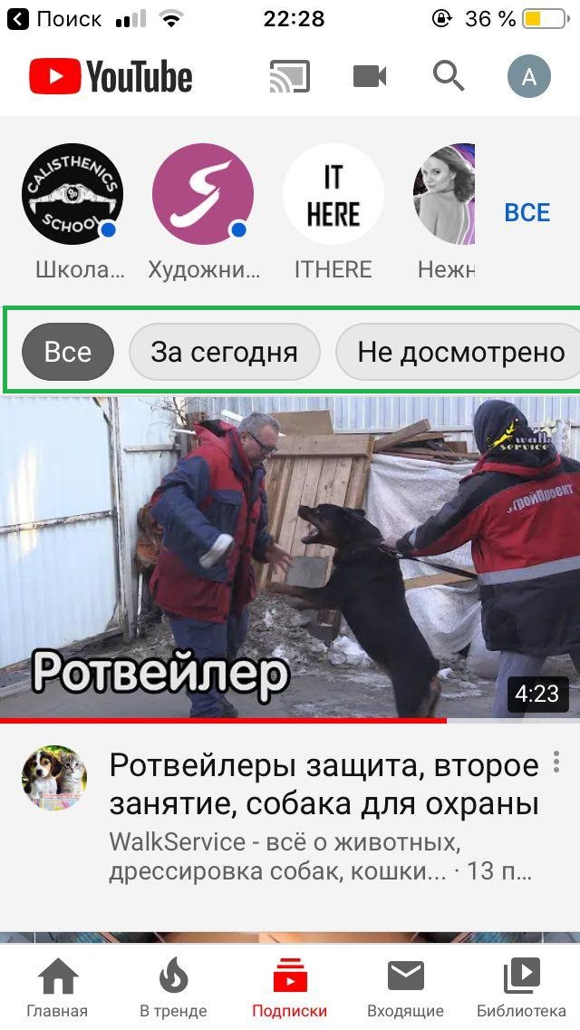 Теперь в разделе подписки на YouTube вверху страницы появились фильтры