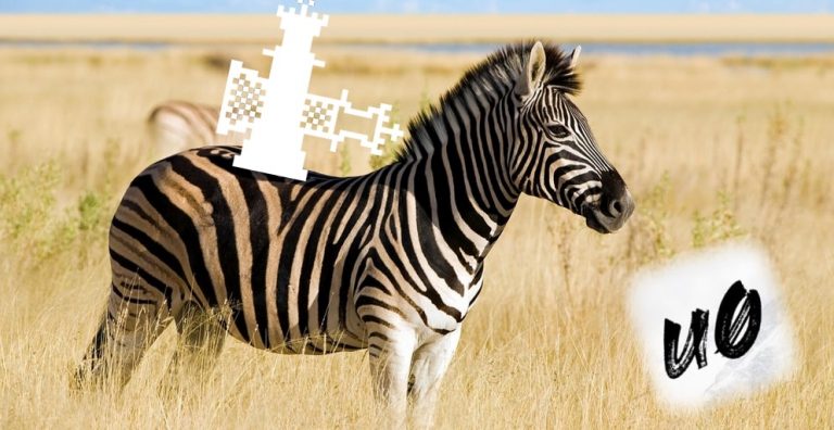Zebra-Tutorial-768×396