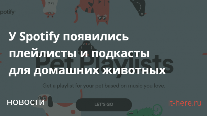 У Spotify появились плейлисты и подкасты для домашних животных