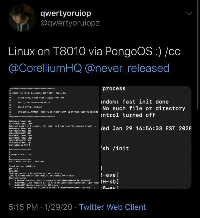 Luca-Todesco-Linux-on-iPhone-768×834