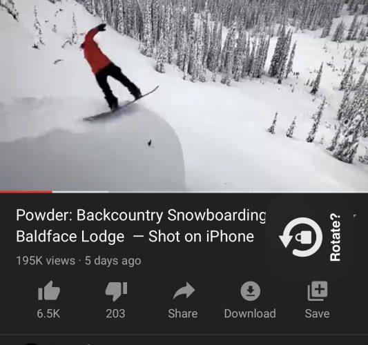 2BAC98DA-4940-41B1-A08B-565AB9417AE6-533×500