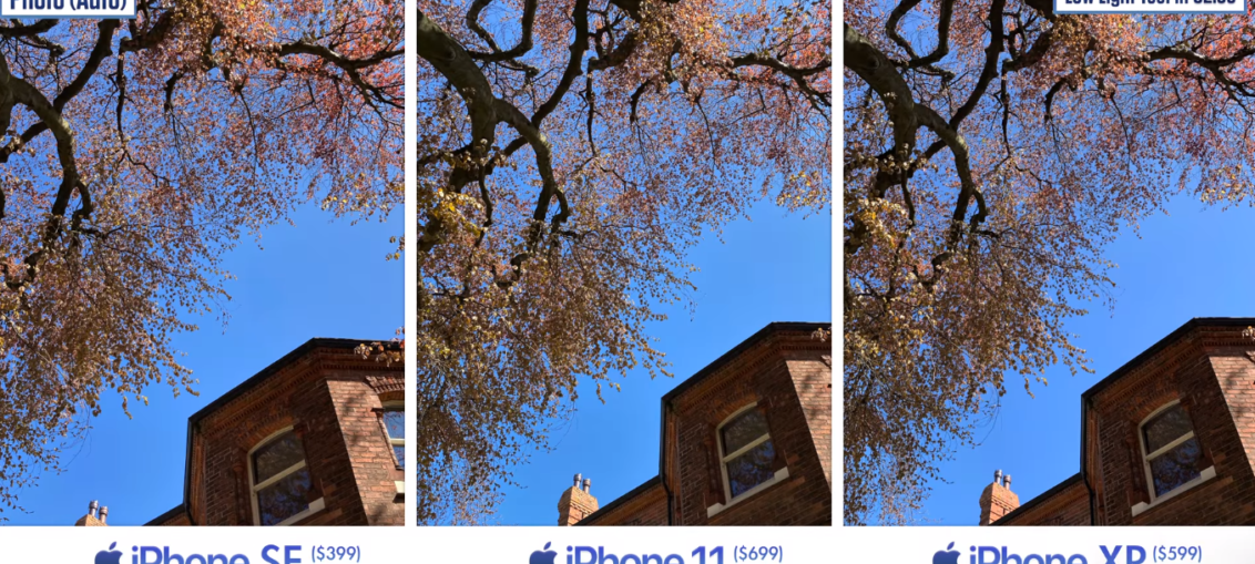iPhone SE 2, iPhone 11 и iPhone XR_сравнение камер
