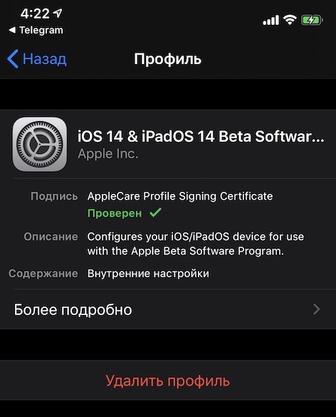 Профиль iOS 14 beta