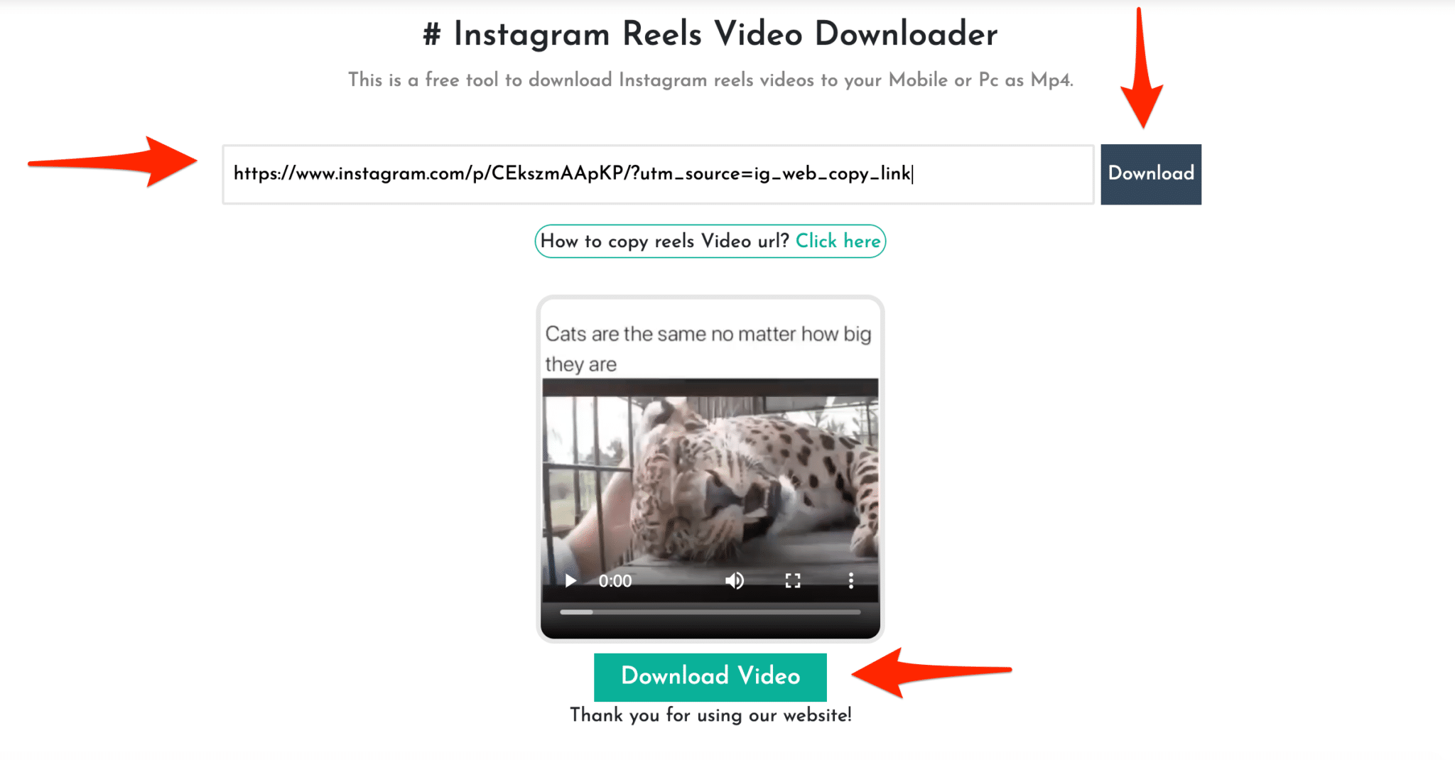 Instagram reels video download Free Instagram