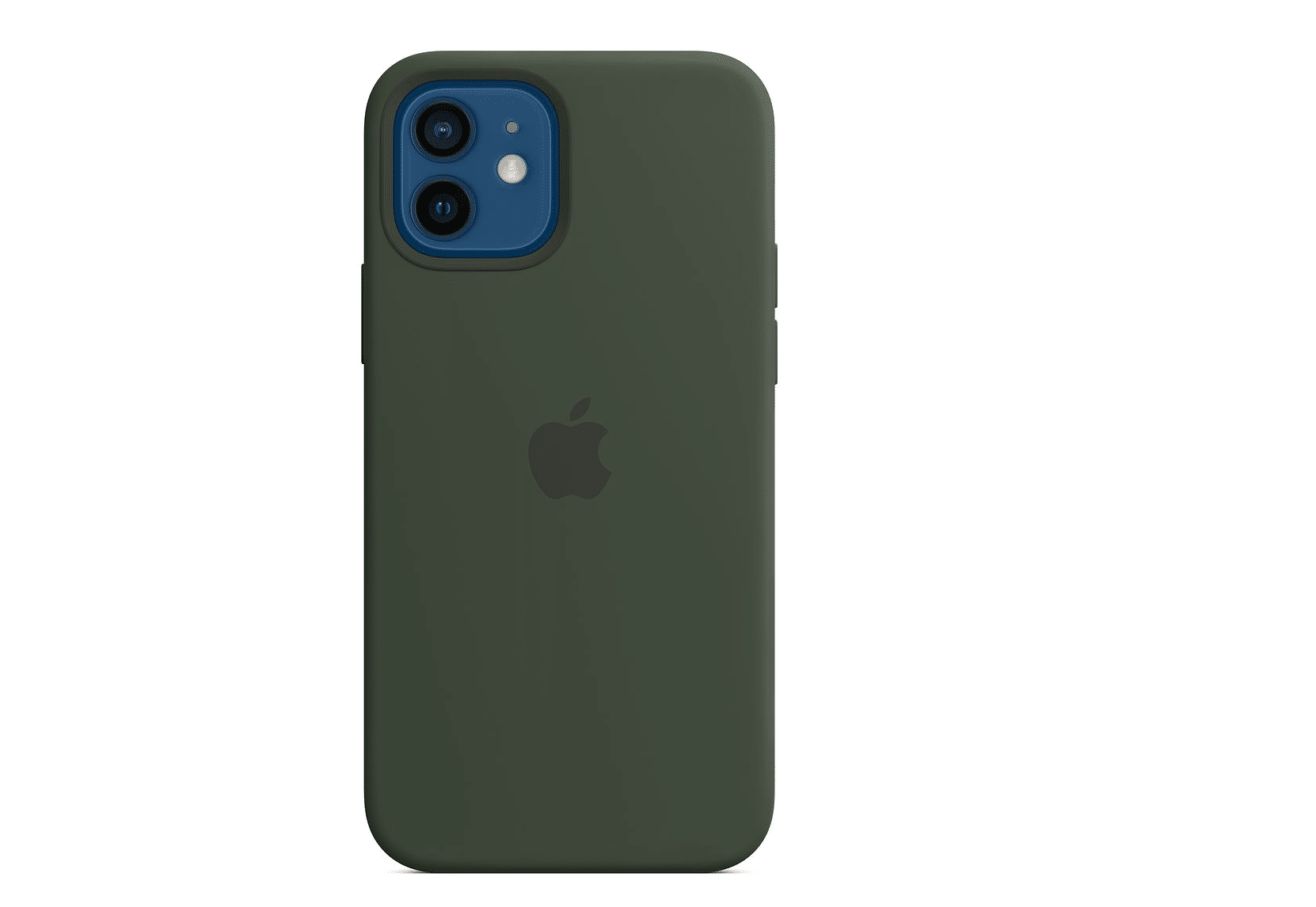 apple-case