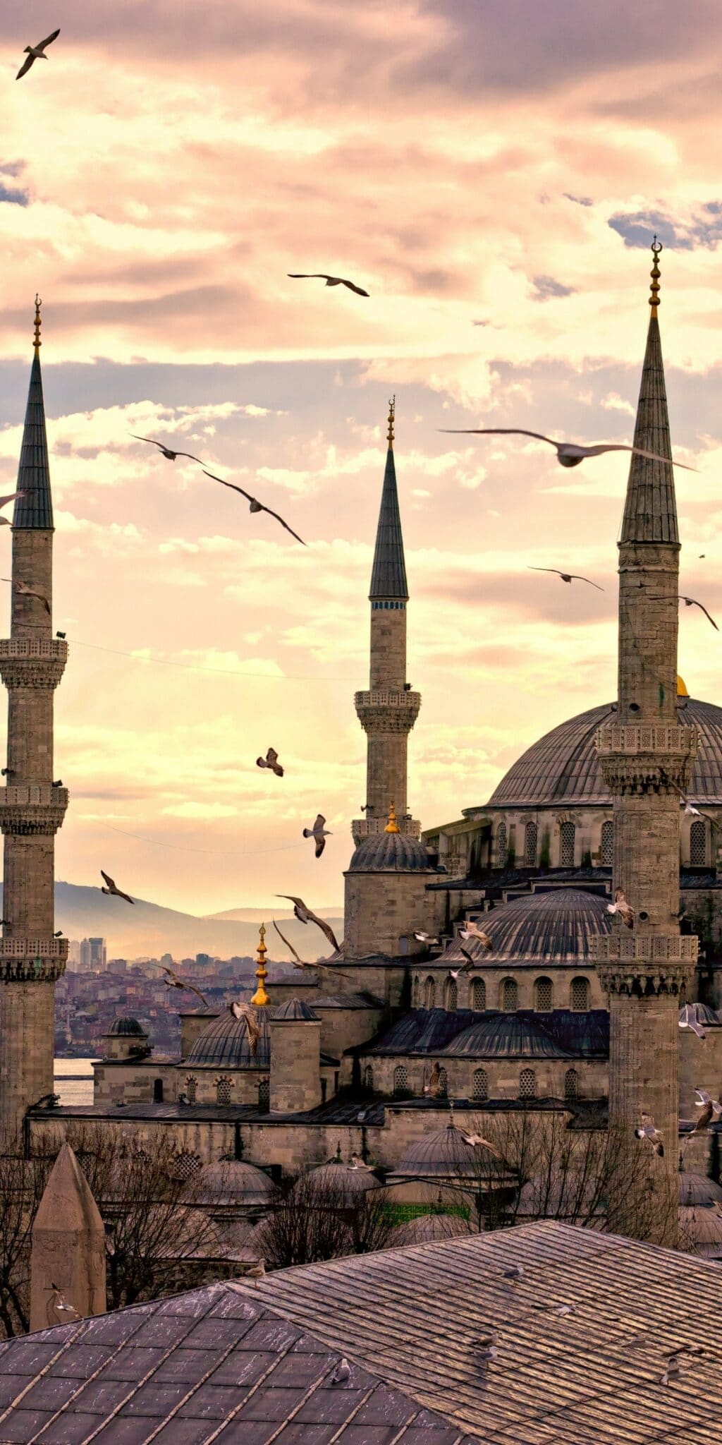 blue-mosque-wallpaper-scaled