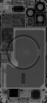 Pro-Max-Xray-710×1536-1