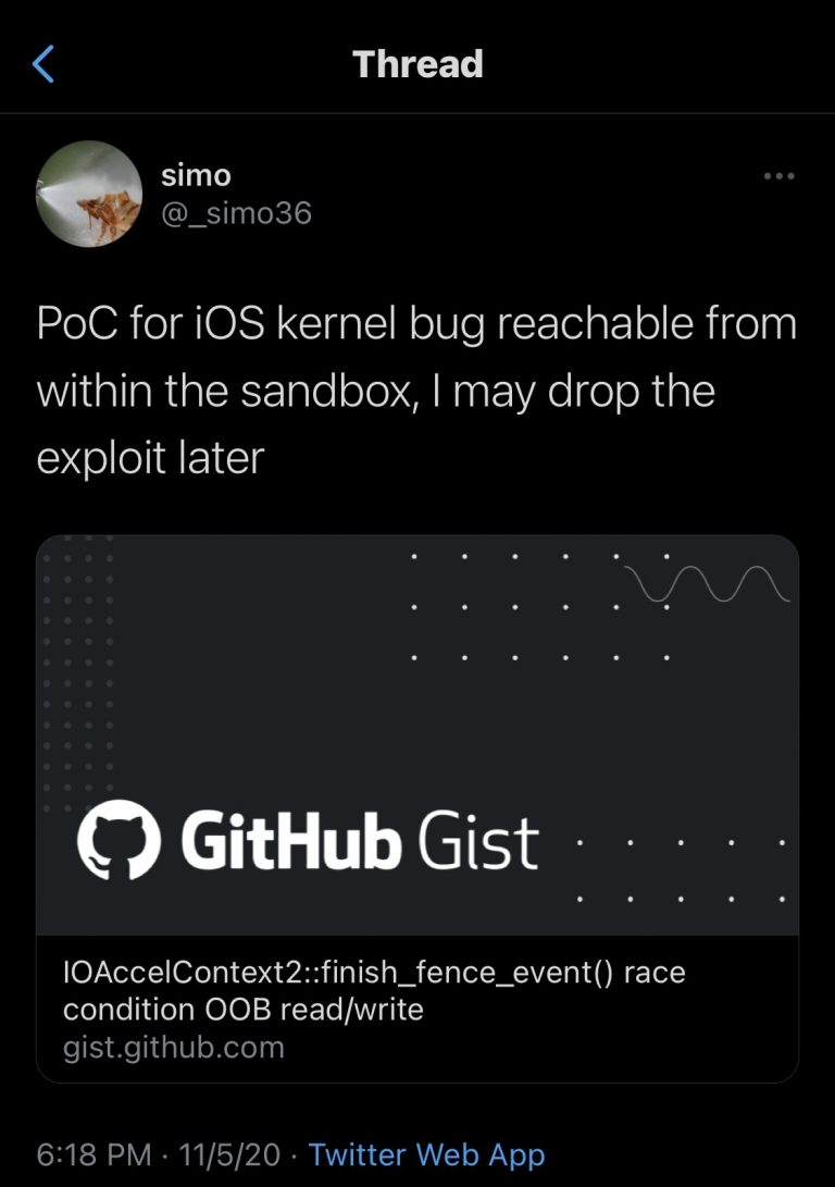 Simo-Tweet-on-Kernel-Bug-for-iOS-14.1-768×1091