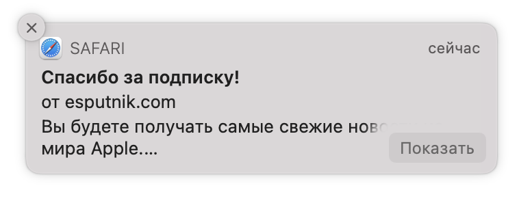 Снимок экрана 2021-06-03 в 23.52.36