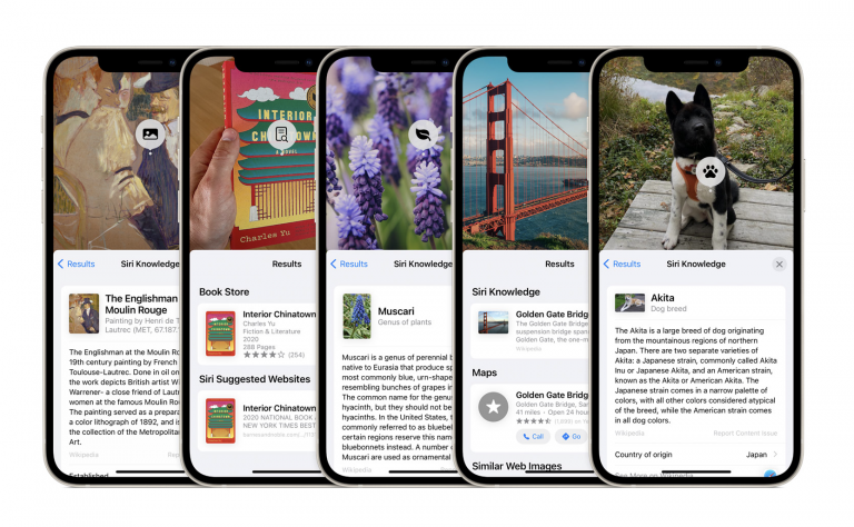 Visual-Lookup-iOS-15-stolen-768×474