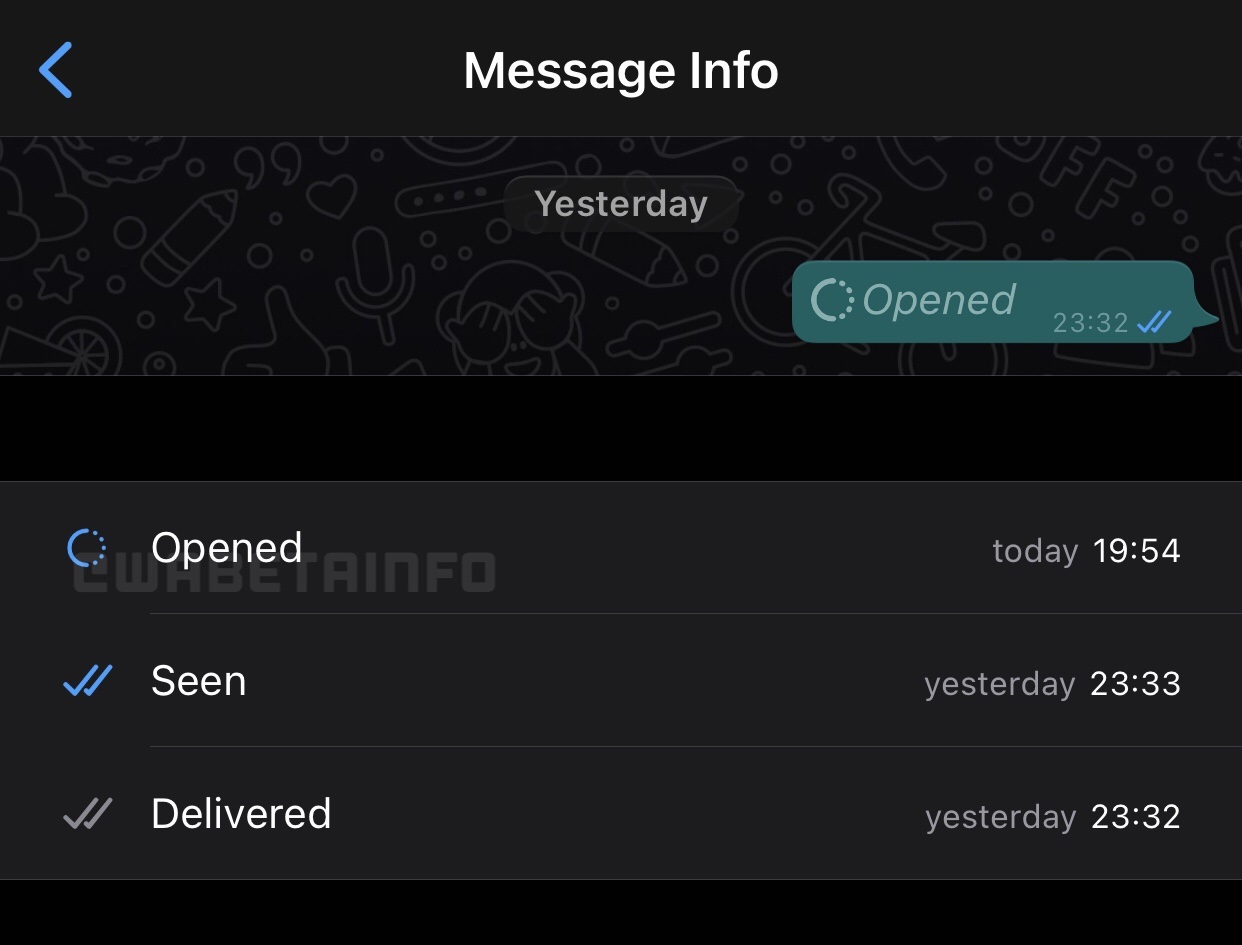 WhatsApp-View-Once-media-message-status-iPhone