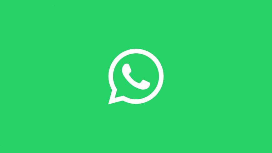 WhatsApp-white-logo-on-green-background