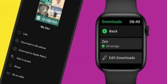 spotify-apple-watch-offline-playback