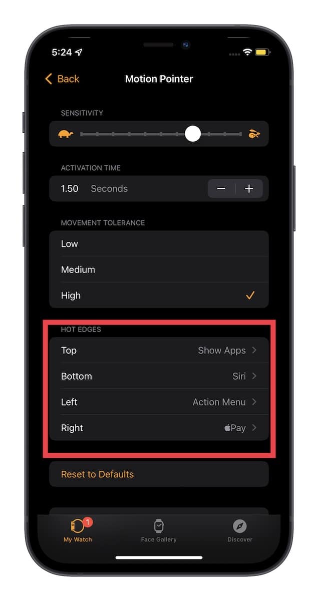 Custoize-Motion-Pointer-for-AssistiveTouch-