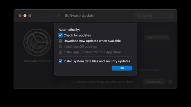 turn-off-automatic-macos-system-software-updates-mac-610×343
