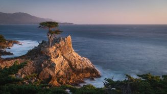 macOS-Monterey-missing-wallpaper-Lone-Cypress-Sunset-5K-resolution-preview-1536×864