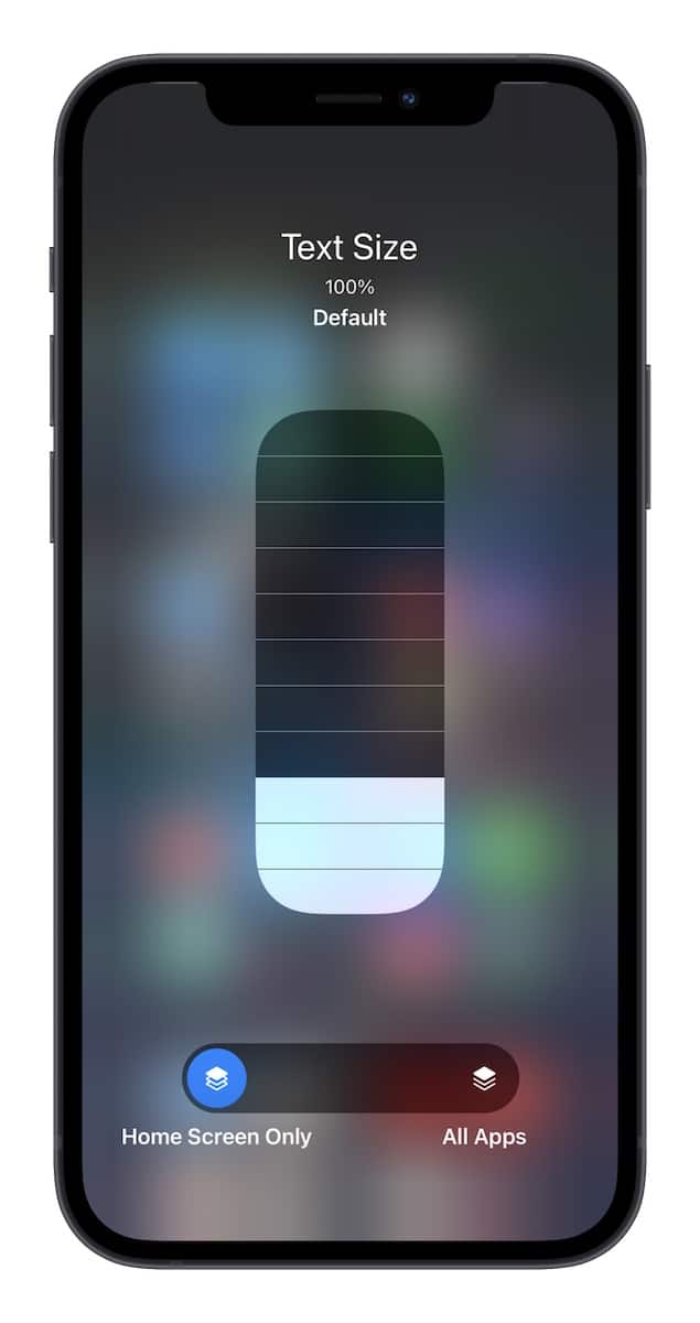 Adjust-Home-Screen-Text-Size-on-iPhone