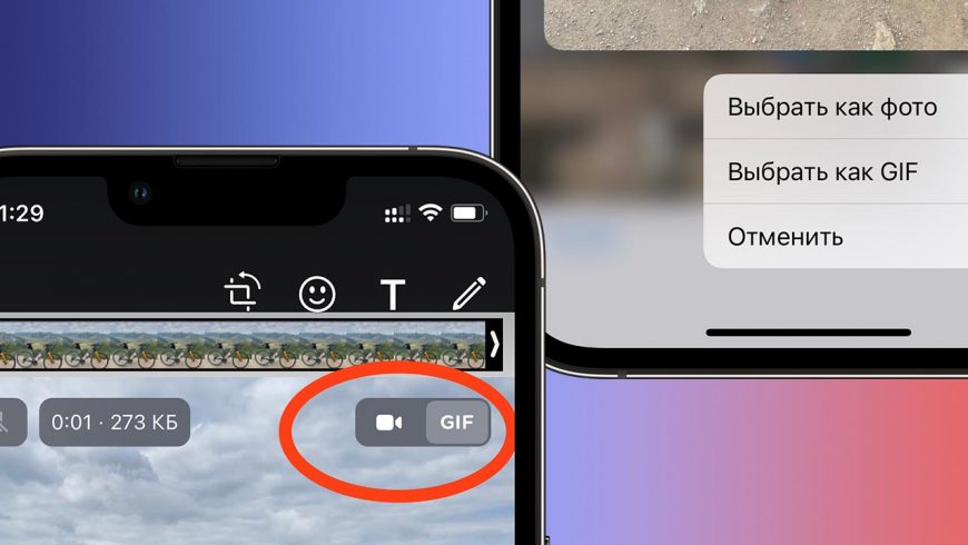 отправка видео как гиф по вотсап на айфон
