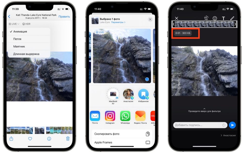 отправки живого фото как гиф в вотсап из фото Large