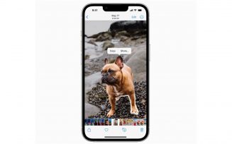 Как изоблировать объекты на фото в iOS 16
