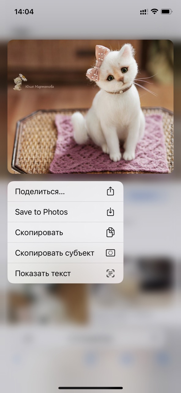 Отделение объект от фона в Safari ios 16
