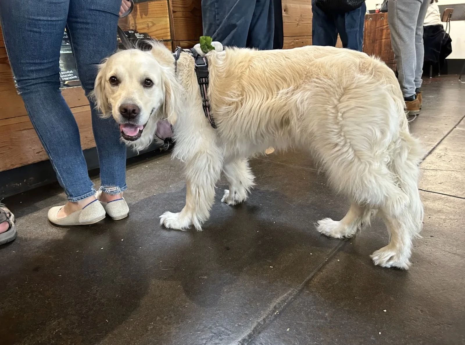 фото сделанное на iphone 14